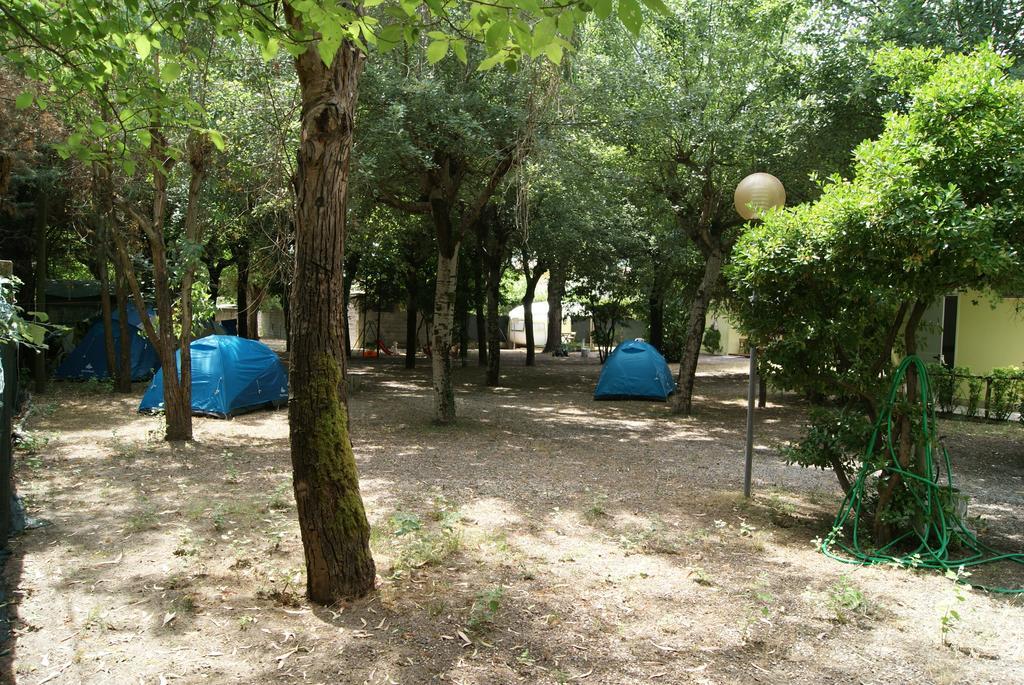 Camping Dolce Sole Марина ди Маса Стая снимка